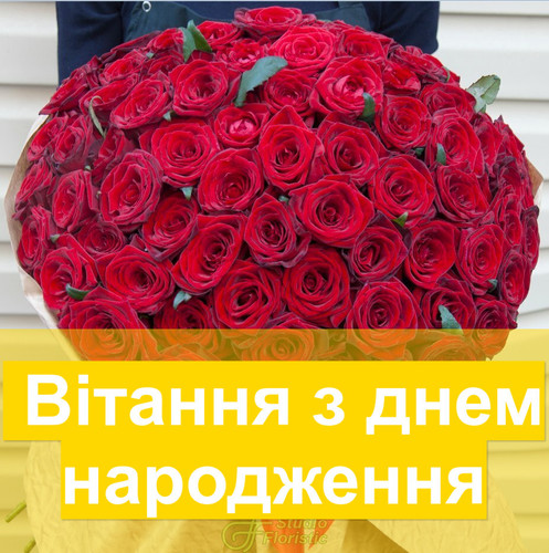 pic.jpg