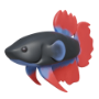 23.png