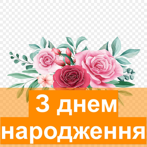 pic.jpg