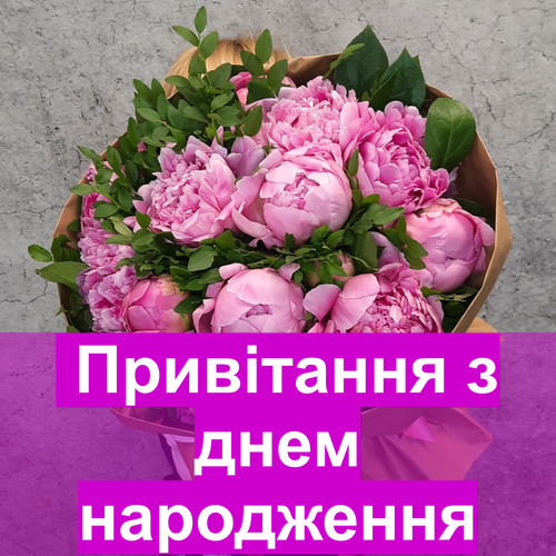 pic.jpg