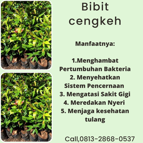 png 20221116 141005 0000.png