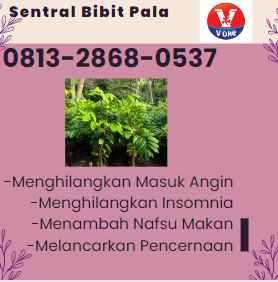 bibit 17.png