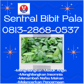 bibit 20.png