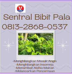 bibit 19.png
