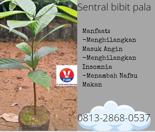 Screenshot 2022 11 16 19 49 14 37 c0d35d5c8ea536686f7fb1c9f2f8f274.jpg