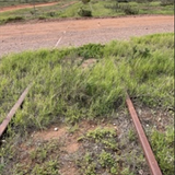 LCR level crossing snipped.png
