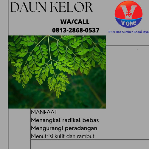 Pusat Budidaya Herbal Daun Kelor yang baru Tambak Bayumas.jpg