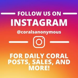 INSTAGRAM R2R.jpg