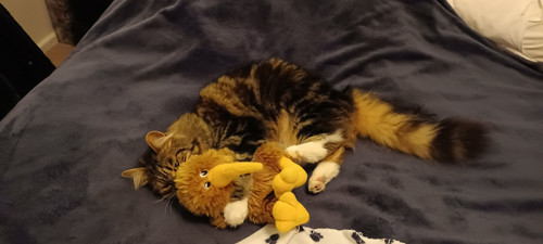 IMG 20221116 212815414.jpg