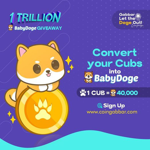 BabyDoge Giveaway.jpg