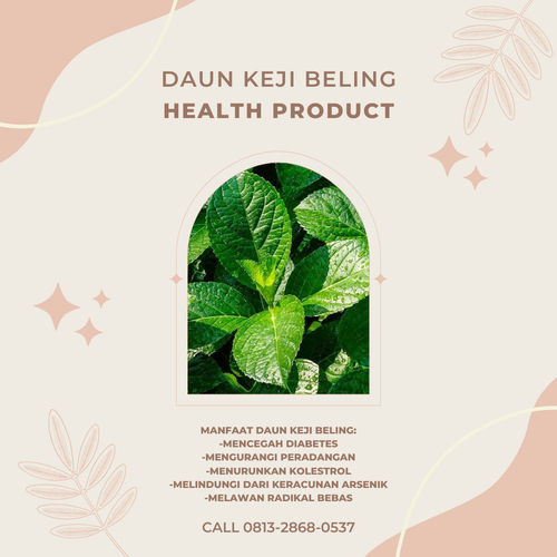 Desain 66 Daun Keji Beling.png