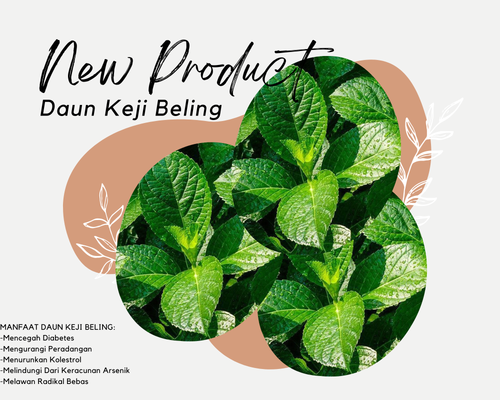 Desain 68 Daun Keji Beling.png