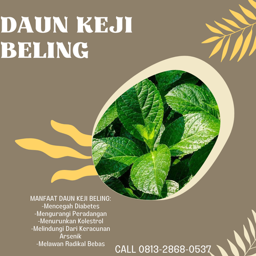Desain 67 Daun Keji beling.png