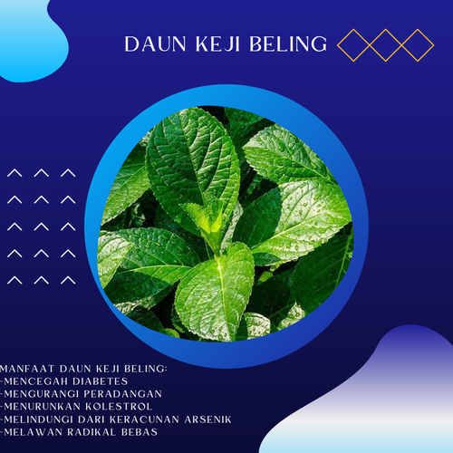 Desain 69 Daun Keji Beling.png