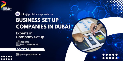 Business Set Up Companies in Dubai.jpg