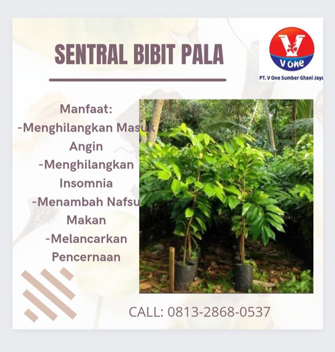 IMG 20221111 182516.jpg