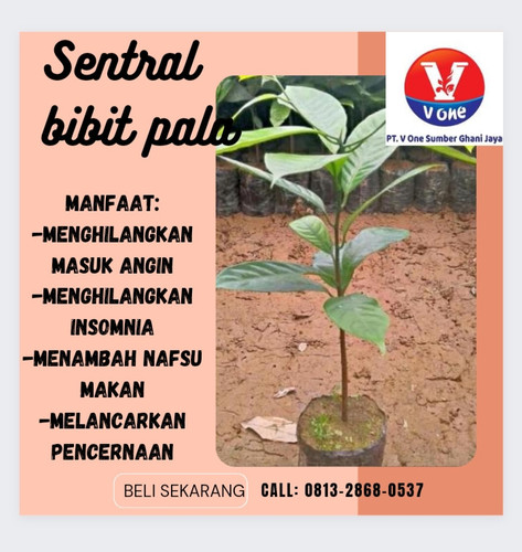 IMG 20221111 130743.jpg