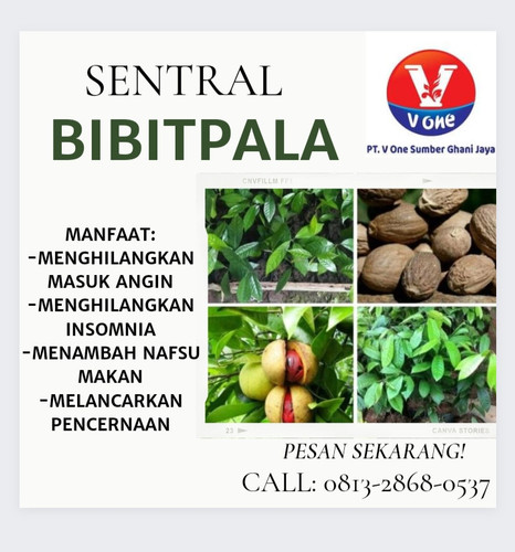 IMG 20221111 201952.jpg