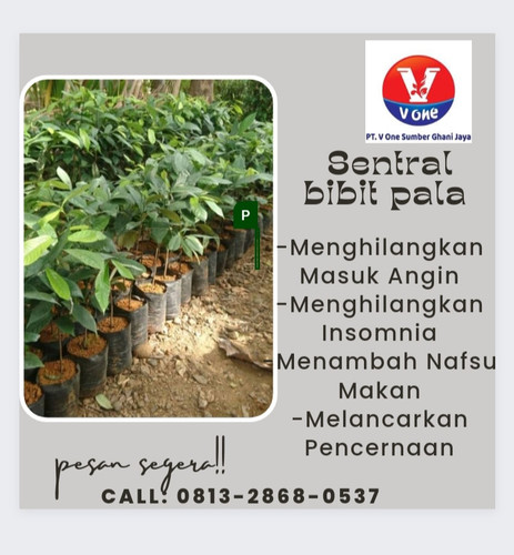 IMG 20221111 135334.jpg