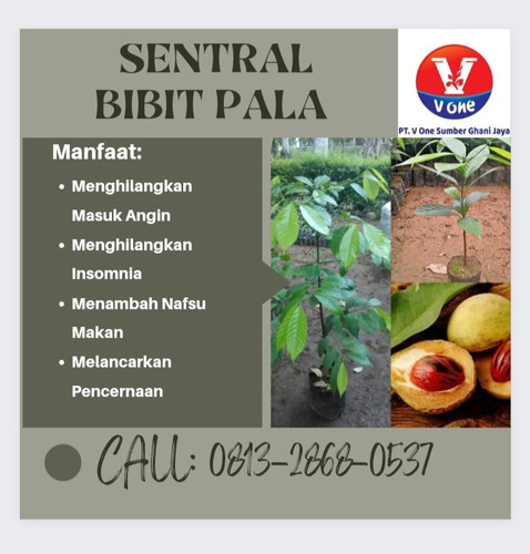 IMG 20221111 130542.jpg