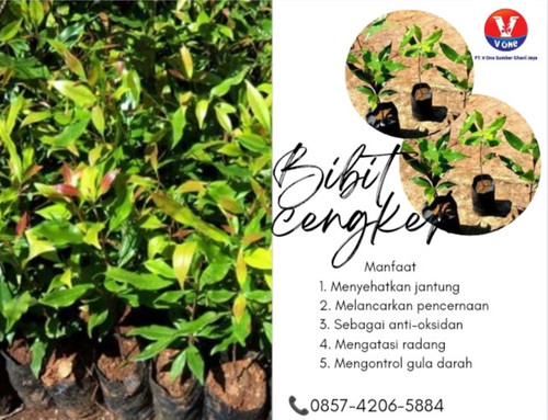 IMG 20221114 164111.jpg