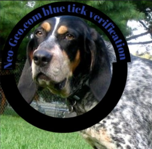 Screenshot 20221114 224918 Opera~2.jpg