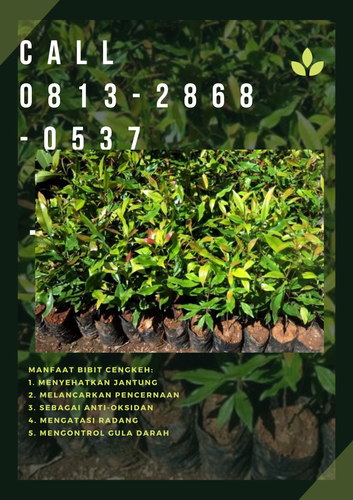 png 20221114 173656 0000.png