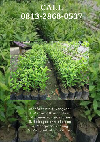 png 20221114 174849 0000.png