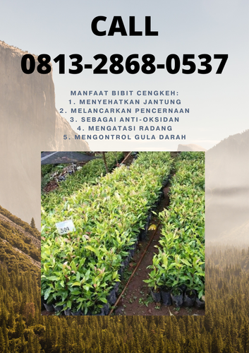 png 20221114 174140 0000.png