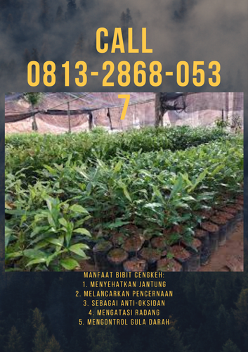 png 20221114 181414 0000.png