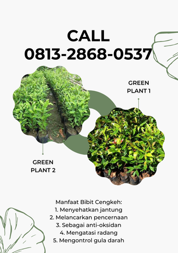 png 20221114 181924 0000.png