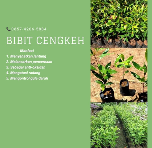 IMG 20221114 164151.jpg