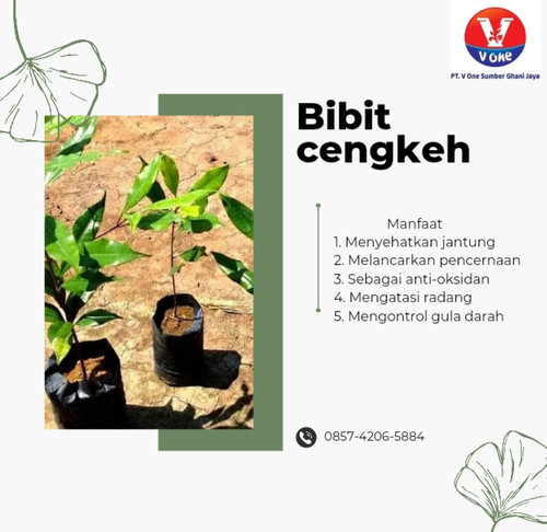 IMG 20221114 164132.jpg