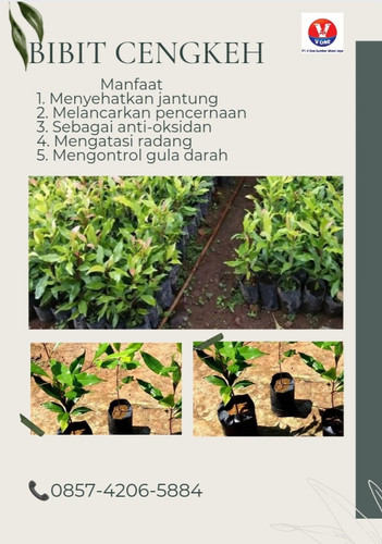 IMG 20221114 164048.jpg