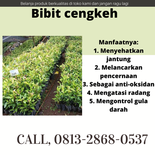 png 20221114 114625 0000.png