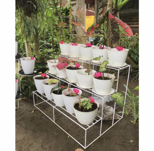 BCB0F047 EC05 460B 9477 34EEDDACA60C.jpg