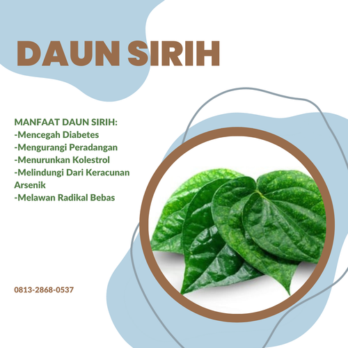 Desain Daun Sirih 58.png