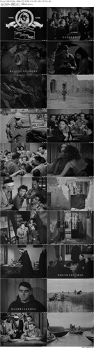 Paisan.1946.BluRay.1080p.DTS HD.MA.2.0.x265.10bit BeiTai preview.jpg