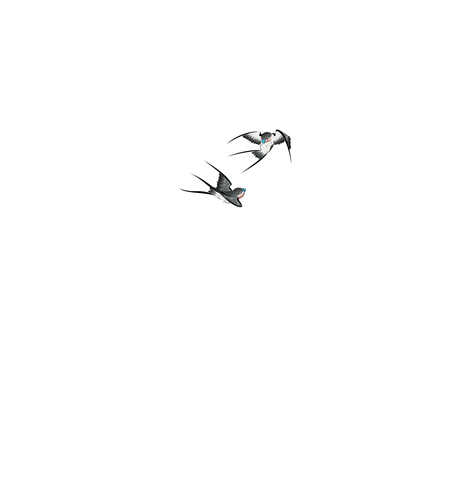 Tokyo Ace Logo.png