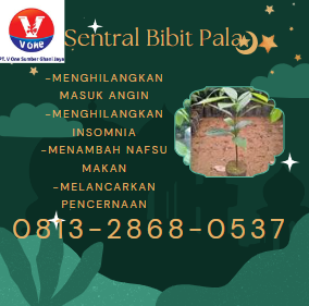 bibit 13.png