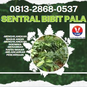 bibit 14.png