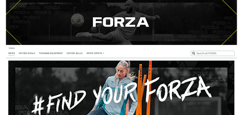 Net World Sports USA.png