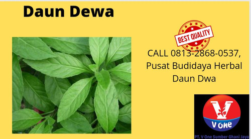 IMG 20221118 WA0038.jpg