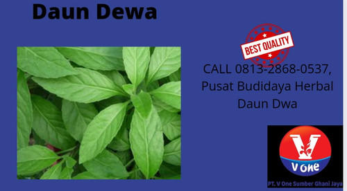 IMG 20221118 WA0040.jpg