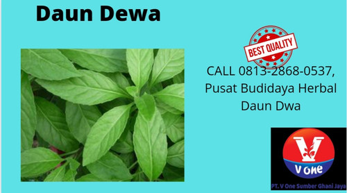 IMG 20221118 WA0039.jpg