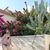 IMG 0841