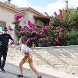 IMG 0863