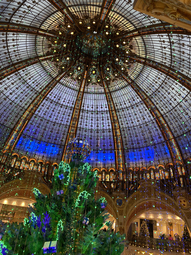 6FA32321 F0E3 4560 BA5D 0BB93E21EC21.jpg