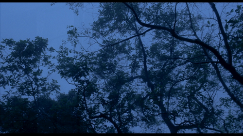 84c31c52f0b3.png