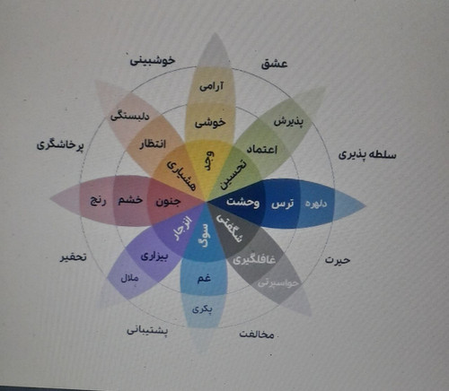 photo 2022 08 22 09 12 48.jpg